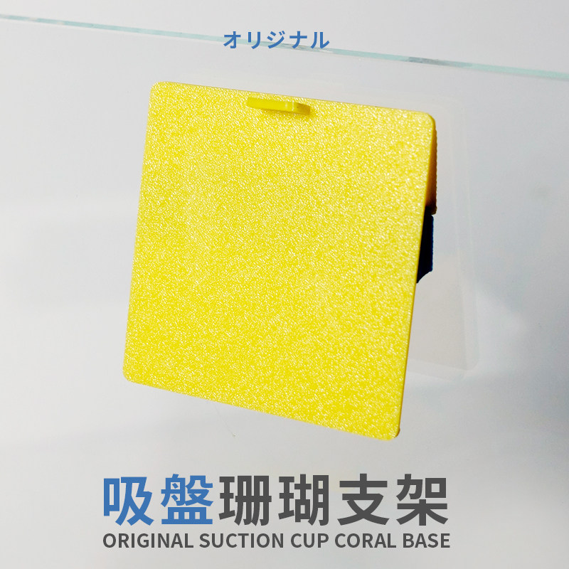 海缸珊瑚基座支架适合草皮闪千手大手心花纽扣等软体珊瑚繁殖支架