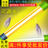 200W鱿鱼海钓黄鱼筏钓翘嘴水下诱鱼聚鱼灯集鱼钓鱼灯白光超亮防水