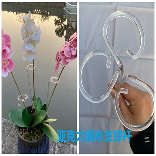 亚克力植物固定支撑杆 园艺支架 花盆爬藤架蝴蝶兰支撑棒花艺