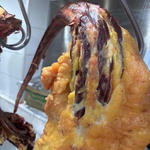 呼伦贝尔草饲黄膘牛尾冷冻保存