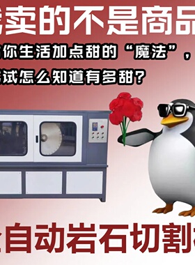 DQ-4型自动岩石锯石机全自动岩石切割机双端面磨平机混凝土切割机