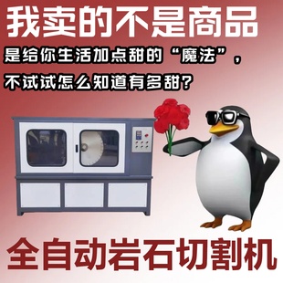 DQ-4型自动岩石锯石机全自动岩石切割机双端面磨平机混凝土切割机