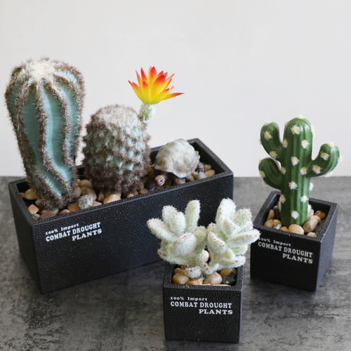 仿真多肉植物盆栽仙人掌沙漠人造假花爬宠室内家居餐桌装饰品摆件