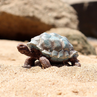 仿真变温爬行动物模型生长周期教具海龟陆龟龟蛋小龟认知小摆件