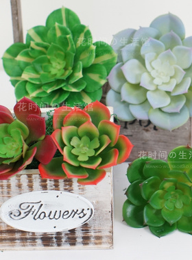 仿真多肉植物绿色客厅假花