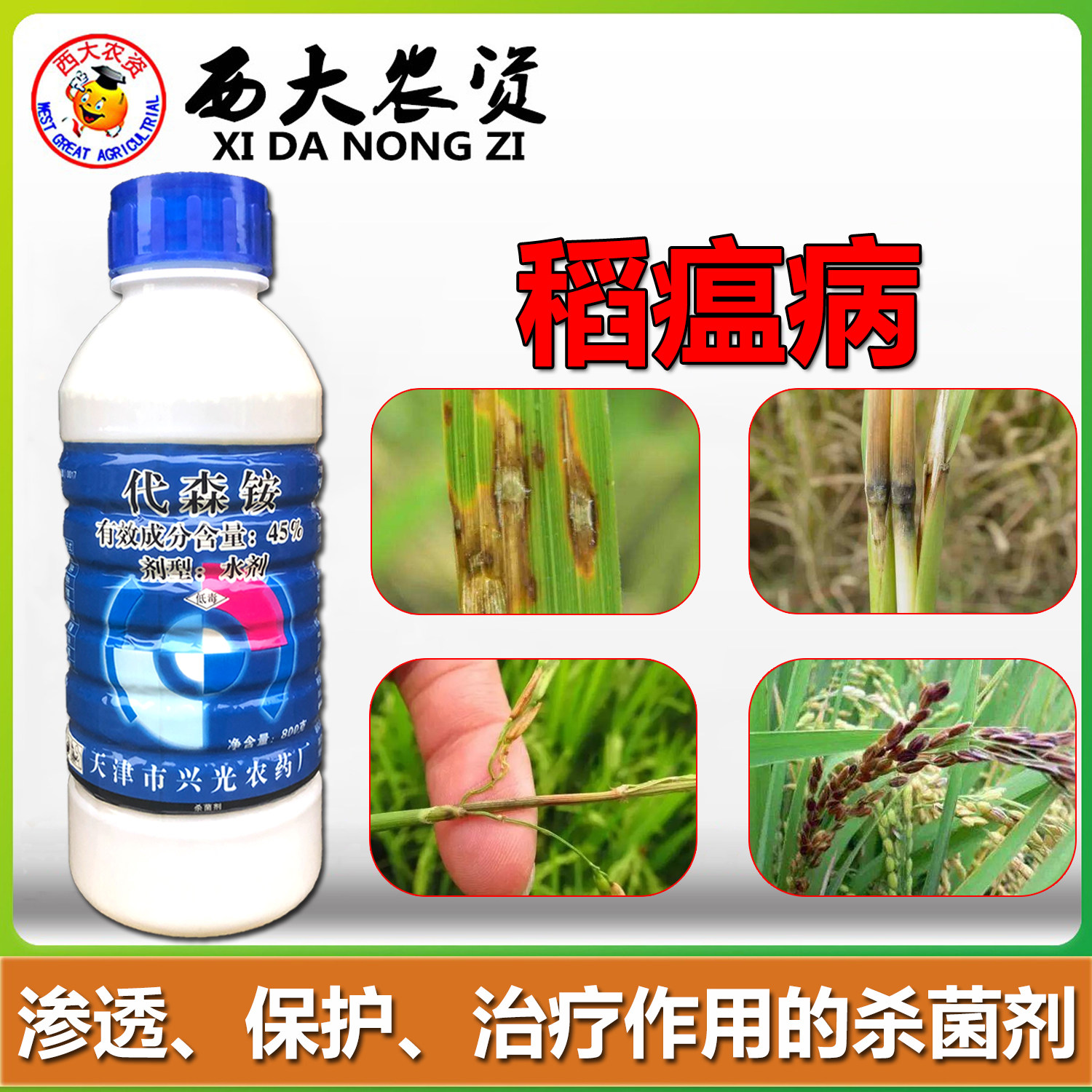 代森铵杀菌剂天津兴光水稻稻瘟病苗瘟叶瘟穗颈瘟专用药杀菌剂农药