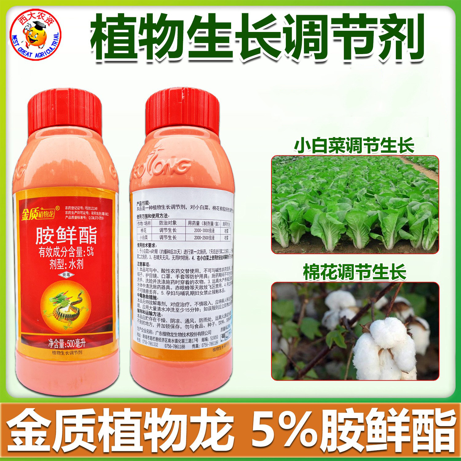 金质植物龙5%胺鲜酯生长调节剂棉花小白菜上色着色增产调节生长剂