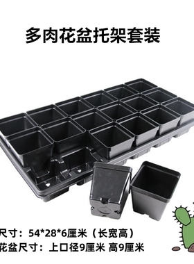 9.0cm塑料小方杯/花盆托盘/穴盘育苗盘/风信子多肉花盆黑方黑色