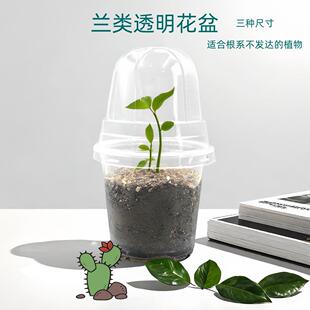 兰花热植多肉闷养保湿营养杯环保无毒育苗盆带盖圆形花盆装土育苗