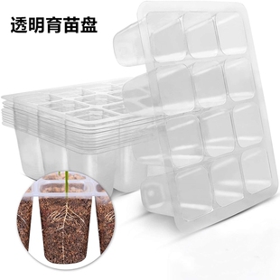 6孔1020底盘扦插多肉月季 透明育苗穴盘播种盘12孔 植物花盆花盆