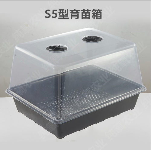 加高保湿多肉花盆育苗盒