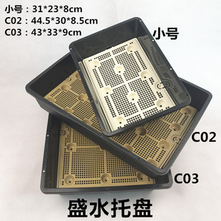 盛水托盘 浸盆 育苗盘底托 花盆托 黑方万象塑料多肉花盆底托加厚
