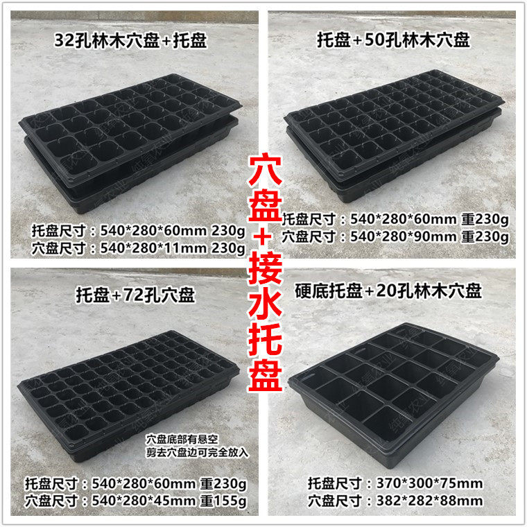 加深穴盘防漏水蔬菜多肉育苗盒