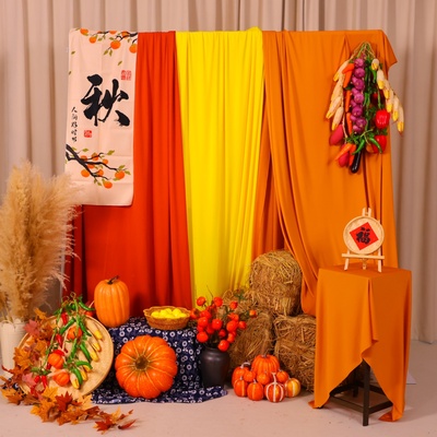 秋收主题环创场景布置布幔仿真蔬菜摆件幼儿园晒秋造景农家院打造
