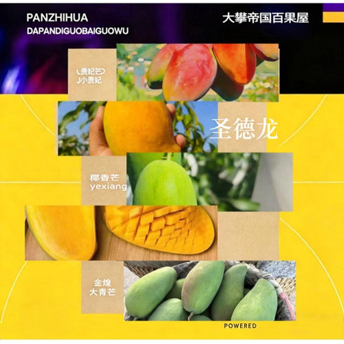 组合装攀枝花金煌芒果