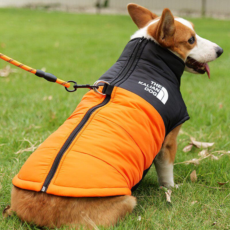 引狗狗CD-20241衣服秋冬可款牵羽绒棉服犬中大型柯基腊肠犬冬季保