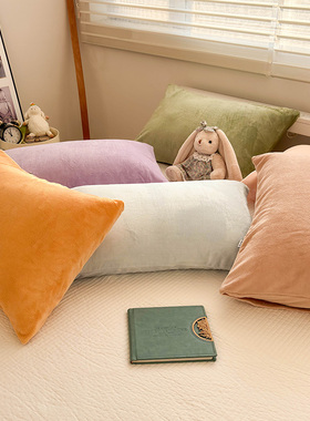 牛奶绒枕套一对装2枕头套单个装48cmx74cm加厚秋冬季枕芯套珊瑚绒