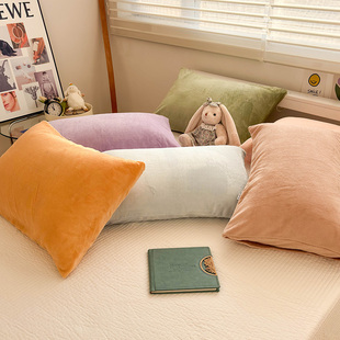 枕芯套珊瑚绒 48cmx74cm加厚秋冬季 牛奶绒枕套一对装 2枕头套单个装