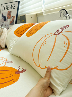 YU-南瓜派卡通儿童纯棉枕套单只装40×60cm枕头套乳胶枕芯内胆套