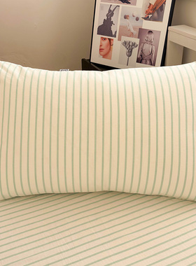 水洗棉绿色生机简约枕套1对装全棉纯棉枕头套48x74单个家用枕芯套