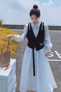 小众设计感撞色拼接长袖连衣裙女秋季2024新款时尚洋气衬衫长裙子图片