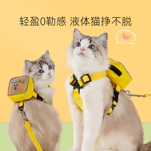 四季通用透气狗狗透明背包牵引绳猫咪外出胸背带遛猫绳子宠物用品