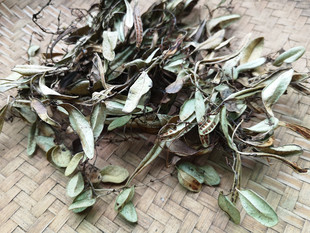 贵州山货抱石莲中药材 抱石连石瓜子瓜米菜农产品干货飞莲草500克