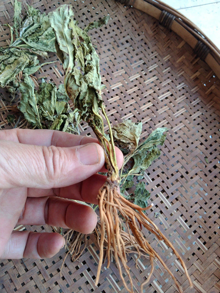 贵州野青菜中药材 天青地红中草药菊三七红青菜散装新晒无硫500克