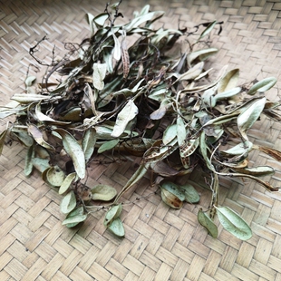 地产抱石莲中药材 贵州山货抱石连石瓜子瓜米菜中草药干货飞莲草