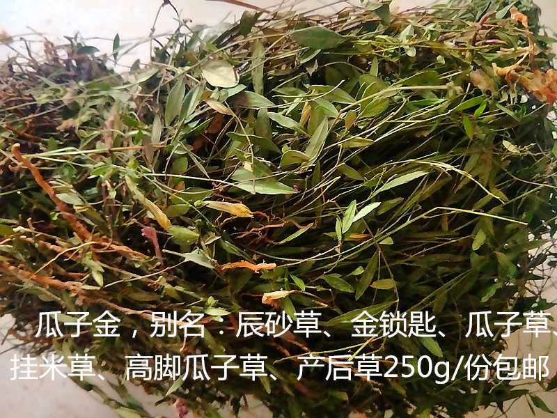 贵州特产干货瓜子金250g 野生苗家草药来马回 产后草 惊风草 包邮
