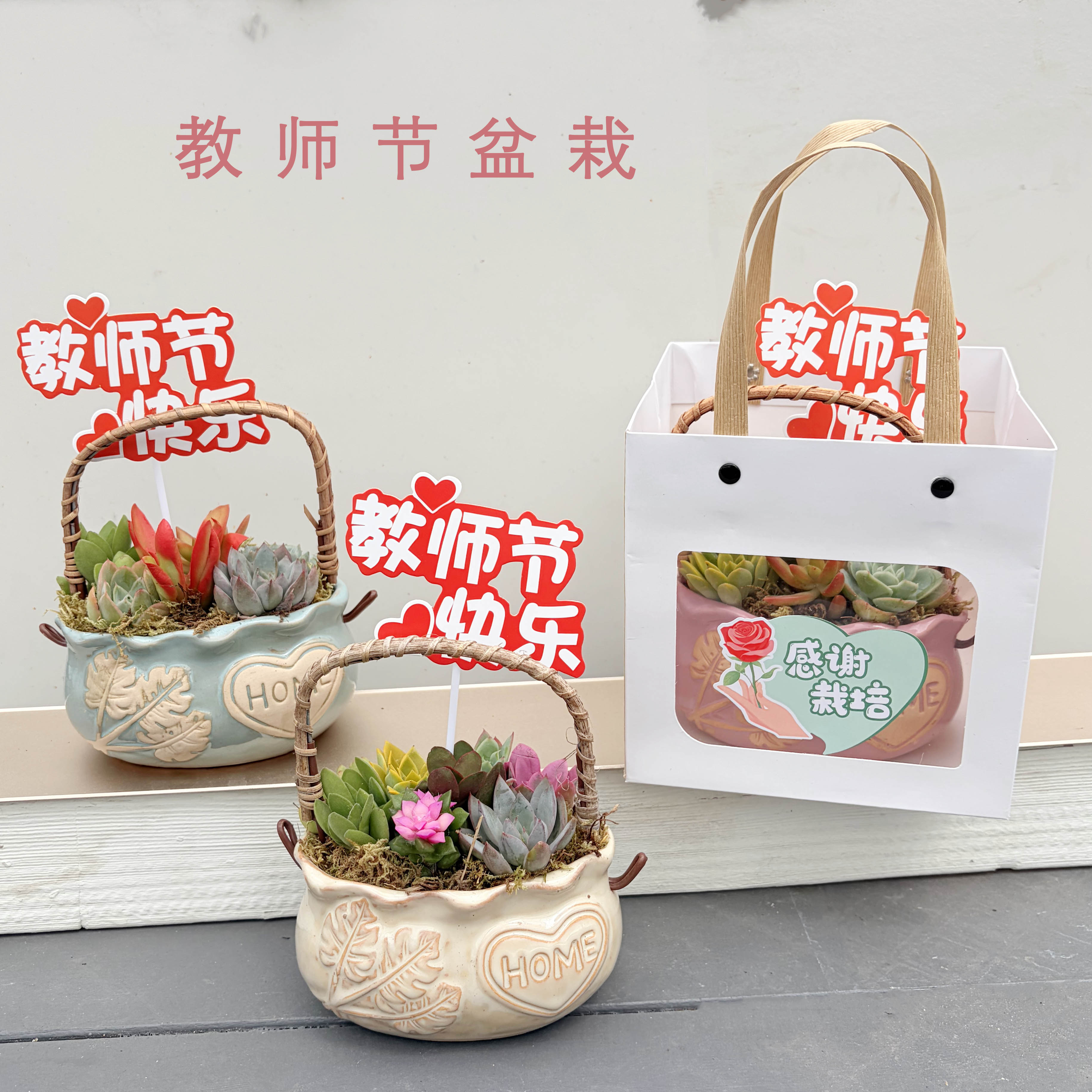 女神节礼品提篮多肉种好发货图片