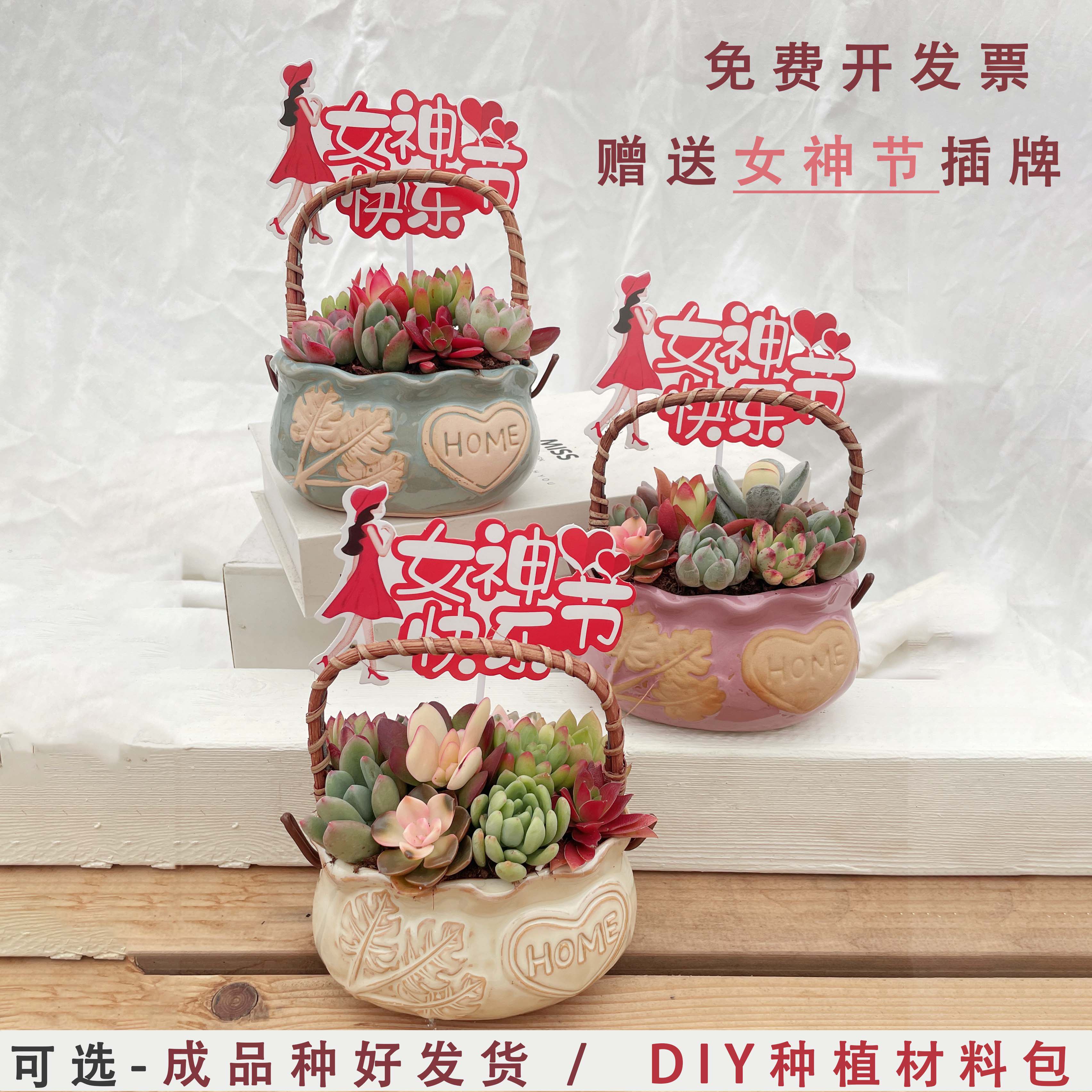 多肉植物组合三八女神节礼品提篮成品多肉种好发货办公室趣味盆栽