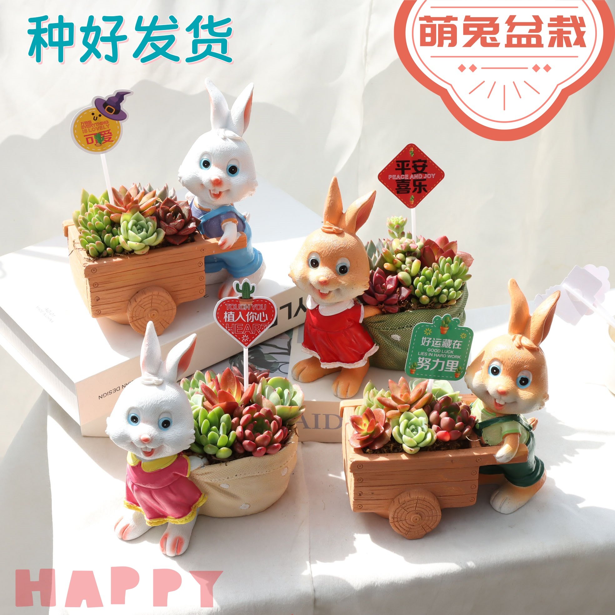 可爱卡通多肉花盆创意个性兔子