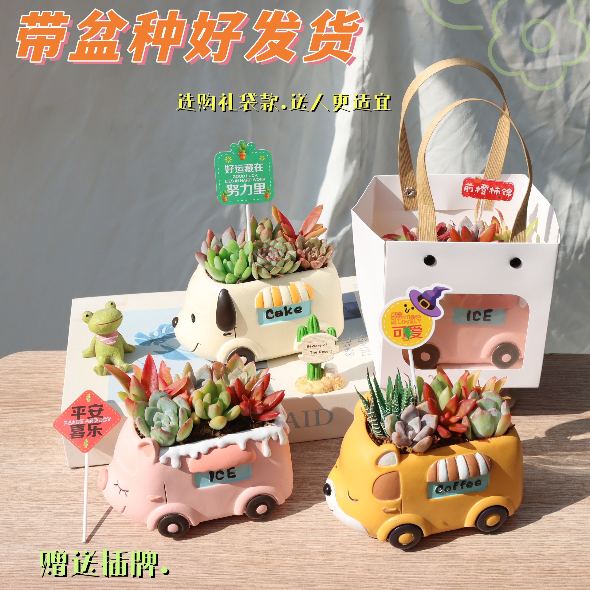 创意卡通小车车多肉植物小学幼儿园盆栽开学季多肉小盆栽带盆种好