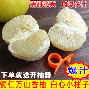 铜仁万山香柚3斤装贵州白心小柚子当季水果脆甜爆汁回甘