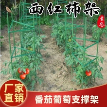 西红柿番茄架葡萄葫芦架月季架绿萝支撑架黄瓜豆角架户外庭院支架