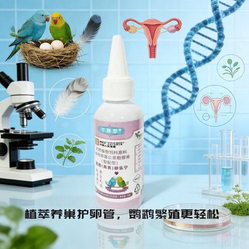 鹦鹉鸟类有效控制输卵管炎细菌感染提高产蛋率减少卡蛋弱精无精蛋