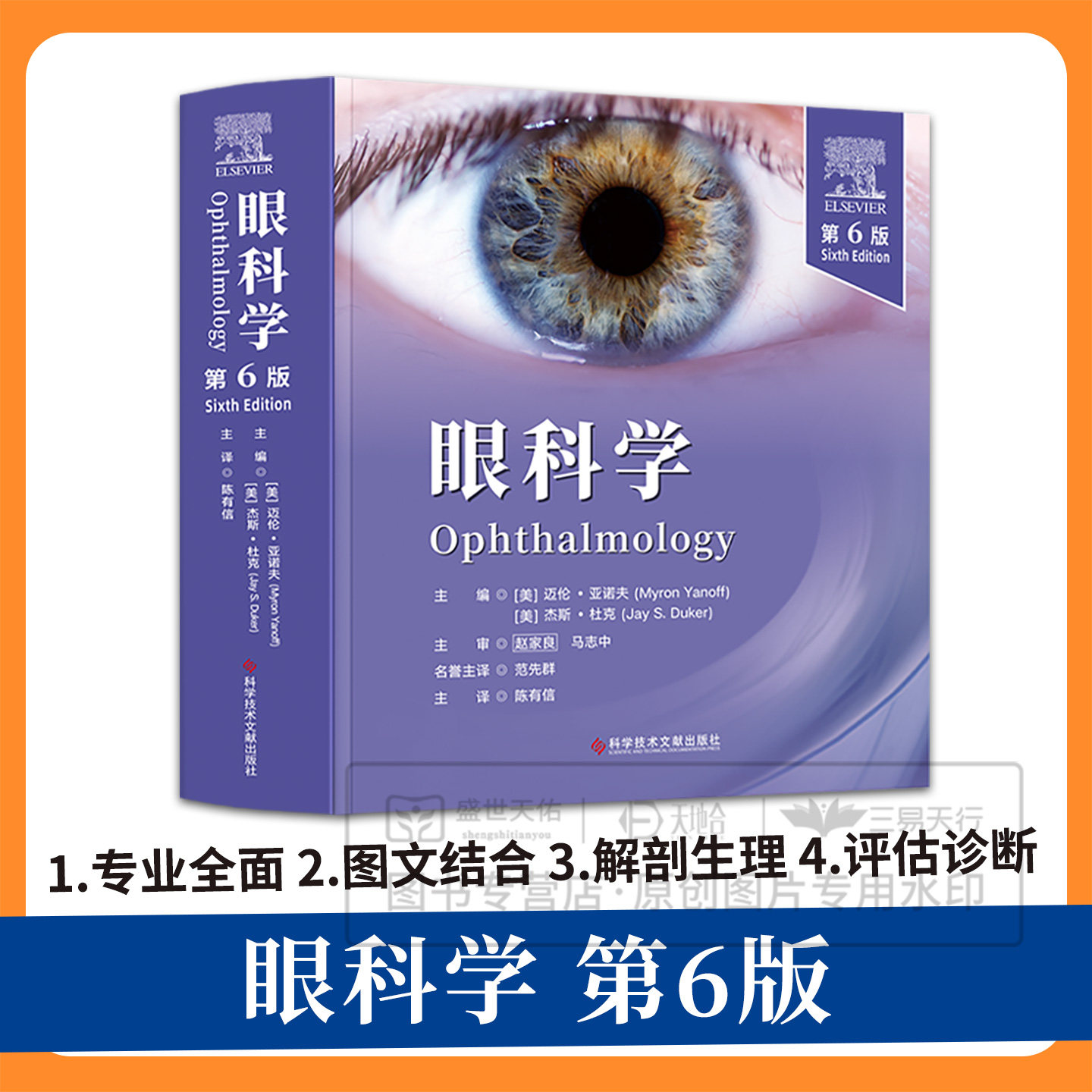 kjwx眼科学：第6版 陈有信主译 角膜与眼表疾病 巩膜及巩膜外疾病 葡萄膜炎和其他眼内炎症 科学技术文献出版社