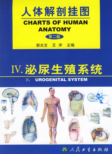 人体解剖挂图&amp;mdash;─泌尿生殖系统（18幅）本版挂图仍对某些内容采用一图多用的方法予以展示郭光文主编9787117038058人