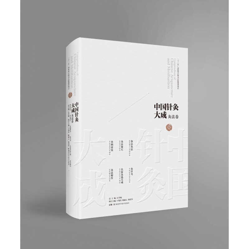 asy 中国针灸大成(灸法卷备急灸法灸法要穴灸焫要览灸草考名家灸选大成灸法秘传)(精) 责编:李忠//王跃军|总主编:石学敏