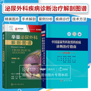 两本套装 外科医师及相关研究生博士书 精装 辛曼泌尿外科解剖图谱原著 中国泌尿外科和男科疾病诊断治疗指南2022版 版 全2册