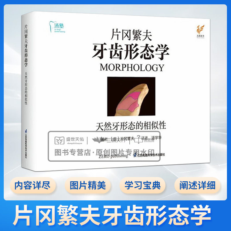 片冈繁夫牙齿形态学 片冈繁夫 天然牙形态的相似性 汤学华 自然牙形态学口腔医学专业书籍 江苏凤凰科学技术出版社