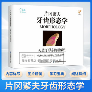 片冈繁夫牙齿形态学 片冈繁夫 天然牙形态的相似性 汤学华 自然牙形态学口腔医学专业书籍 江苏凤凰科学技术出版社