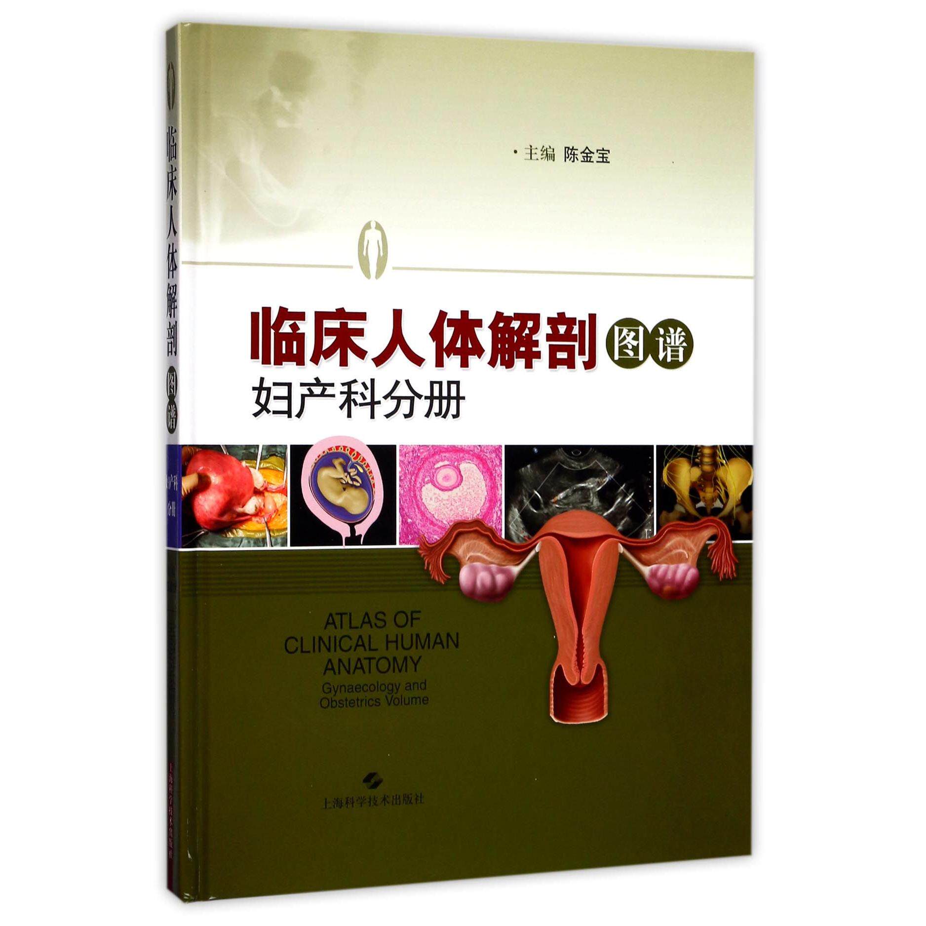 asy 临床人体解剖图谱(妇产科分册)(精) 编者:陈金宝 9787547836507 上海科技