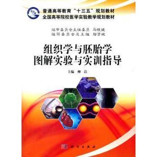 科学出版 asy 9787030559517 柳洁主编 社 组织学与胚胎学图解实验与实训指导