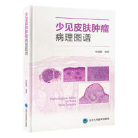 asy 少见皮肤肿瘤病理图谱 常建民 9787565928697 北京大学医学出版社