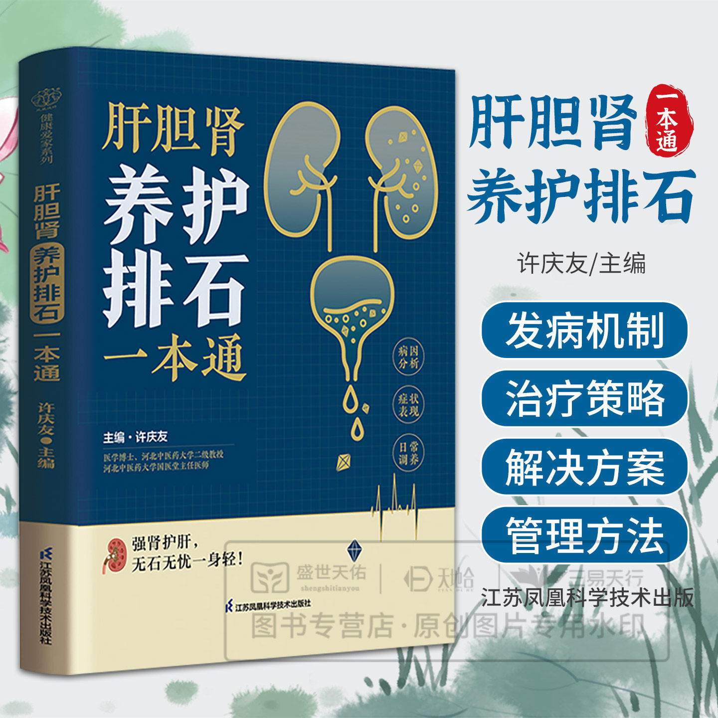 肝胆肾养护排石 养排石食疗中医养生运动穴位食谱调整穴位按摩运动辅助养肾草药养生保健养护石排石草药疗法饮食调整