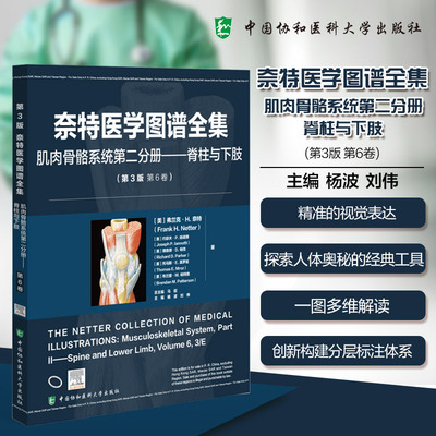 asy 奈特医学图谱全集(第3版):肌肉骨骼系统第二分册——脊柱与下肢
