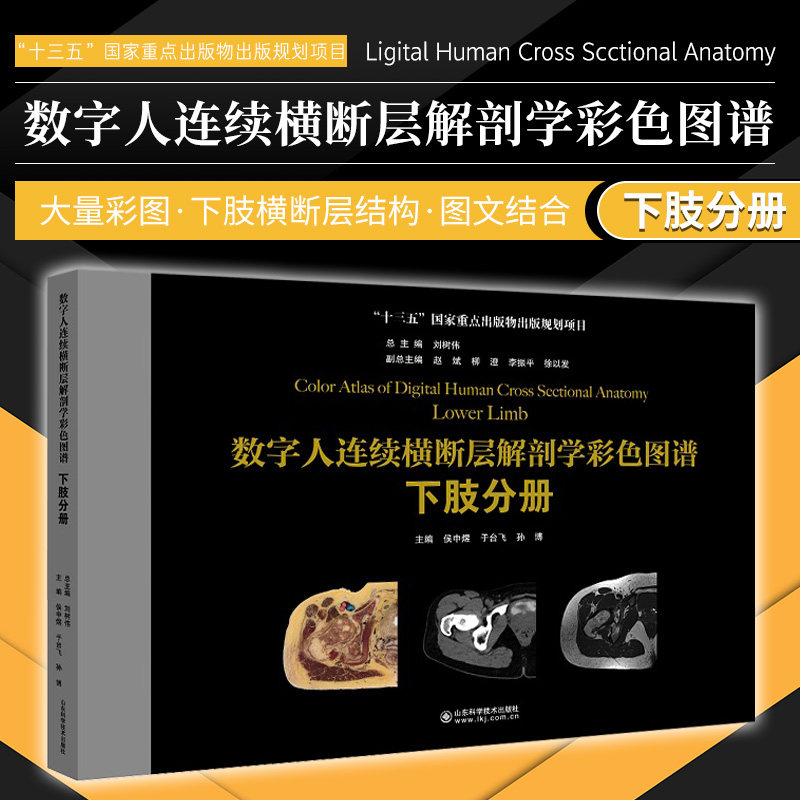 数字人连续横断层解剖学彩色图谱 下肢分册 十三五重点出版物出版规划项目 侯中煜等编 山东科学技术出版社 9787572306808