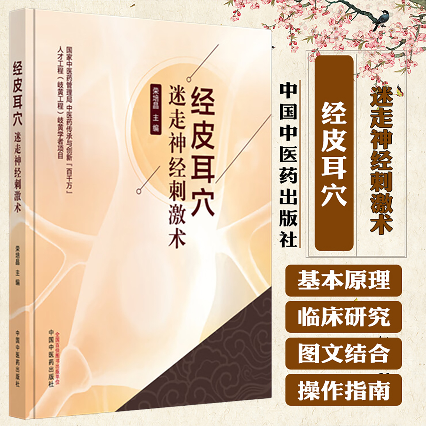 经皮耳穴 迷走神经刺激术 荣培晶 主编 经皮耳穴迷走神经刺激术治疗疾病的基本原理 慢性心力衰竭 9787513296854中国中医药出版社
